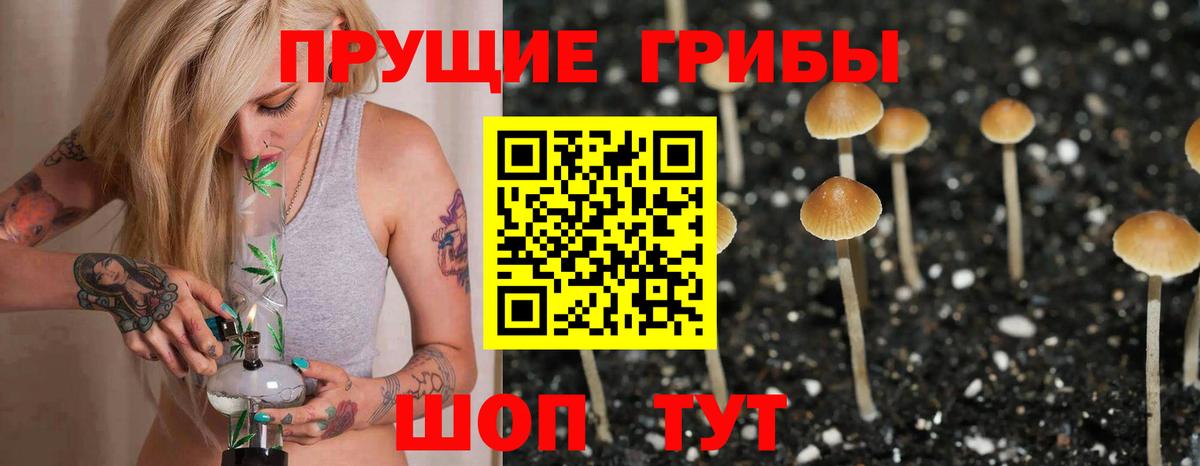 как найти закладки  Вход с VPN  Урюпинск  Галлюциногенные грибы Psilocybine cubensis  Псилоцибиновые грибы Psilocybe 